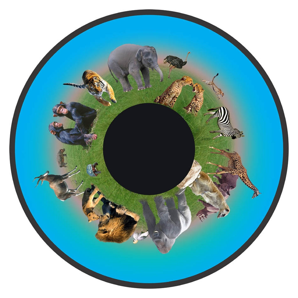 Optikinetics 6" Picture Effect Wheels