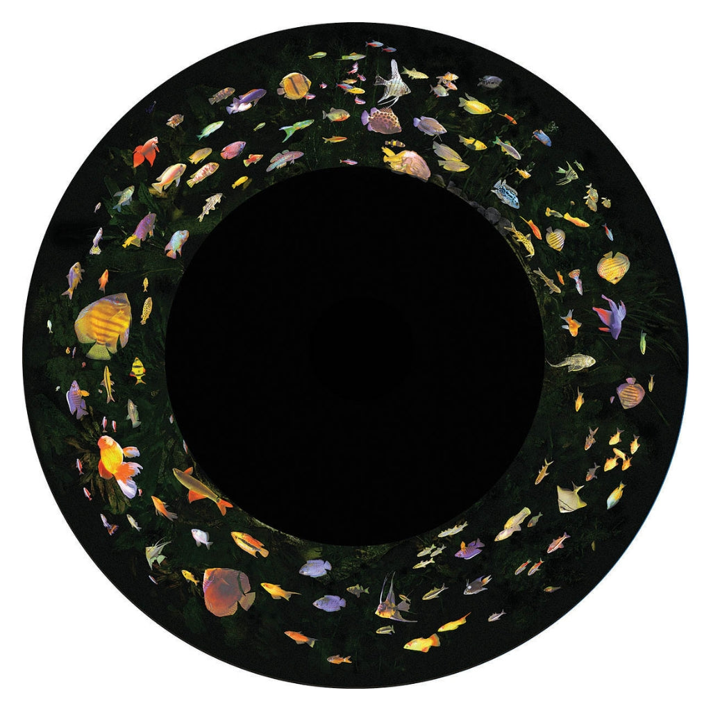 Optikinetics 9" Max Effect Picture Wheels