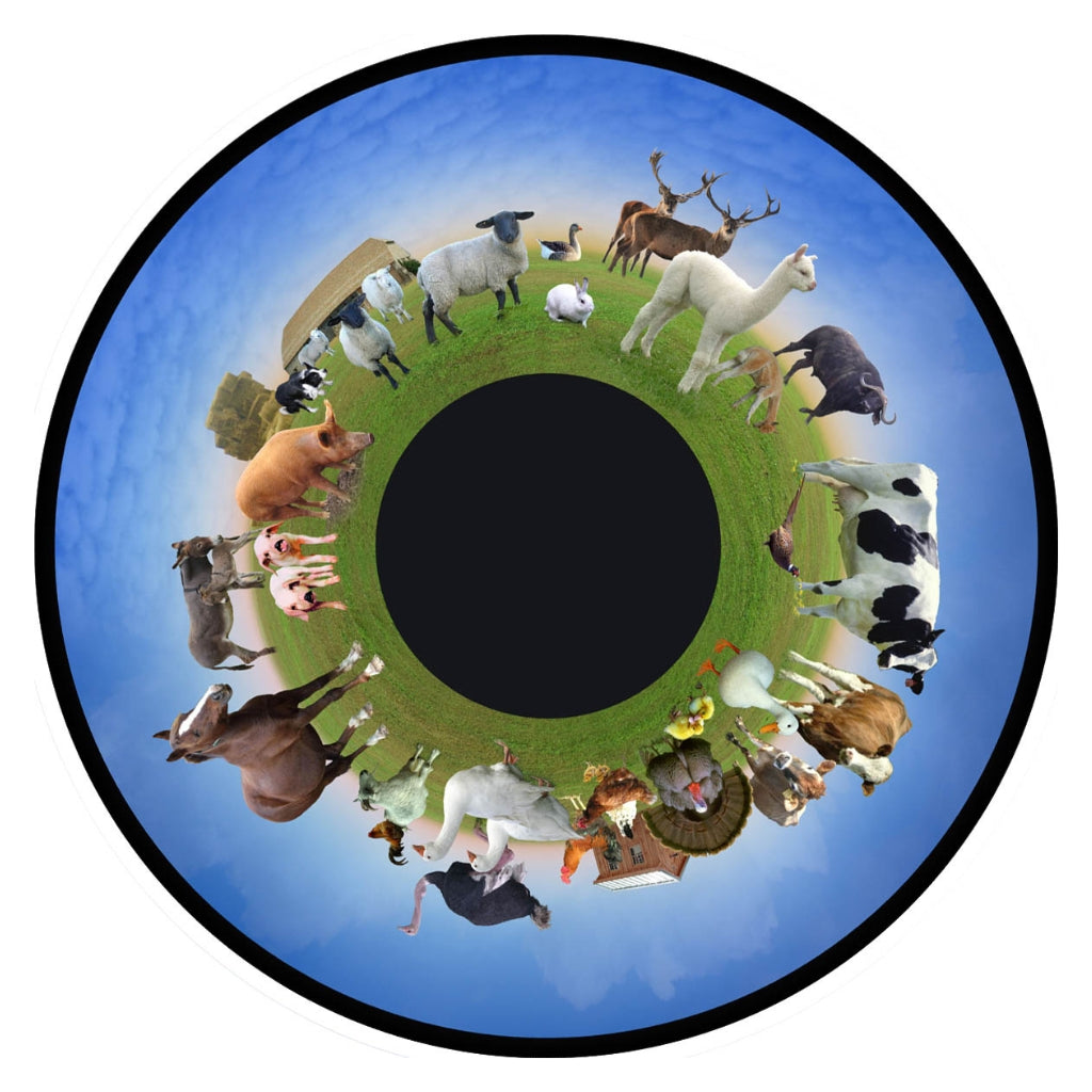 Optikinetics 6" Picture Effect Wheels