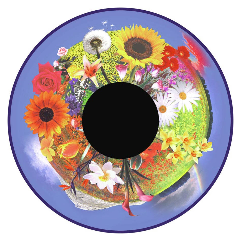 Optikinetics 6" Picture Effect Wheels