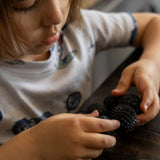 Magnetic Sensory Fidget Balls (6-Pack)