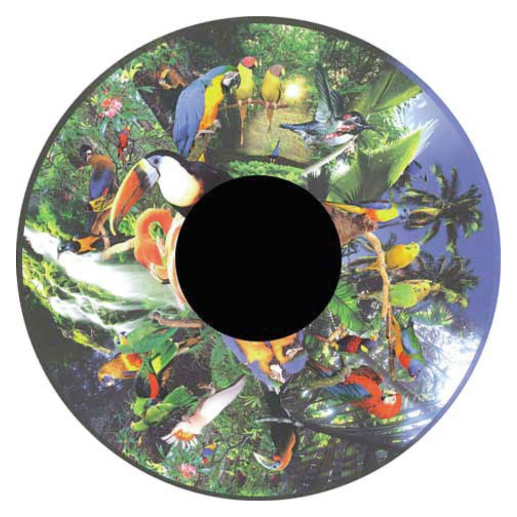 Optikinetics 6" Picture Effect Wheels