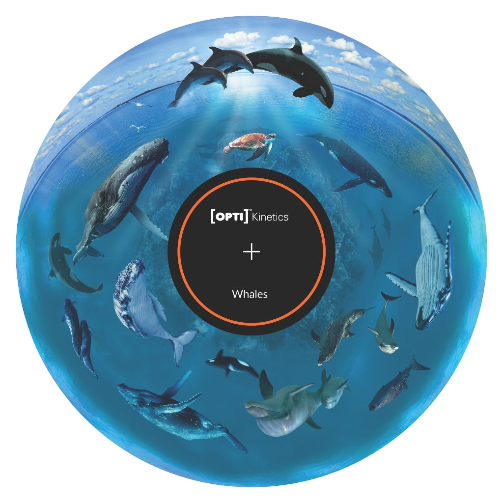 Optikinetics 6" Picture Effect Wheels